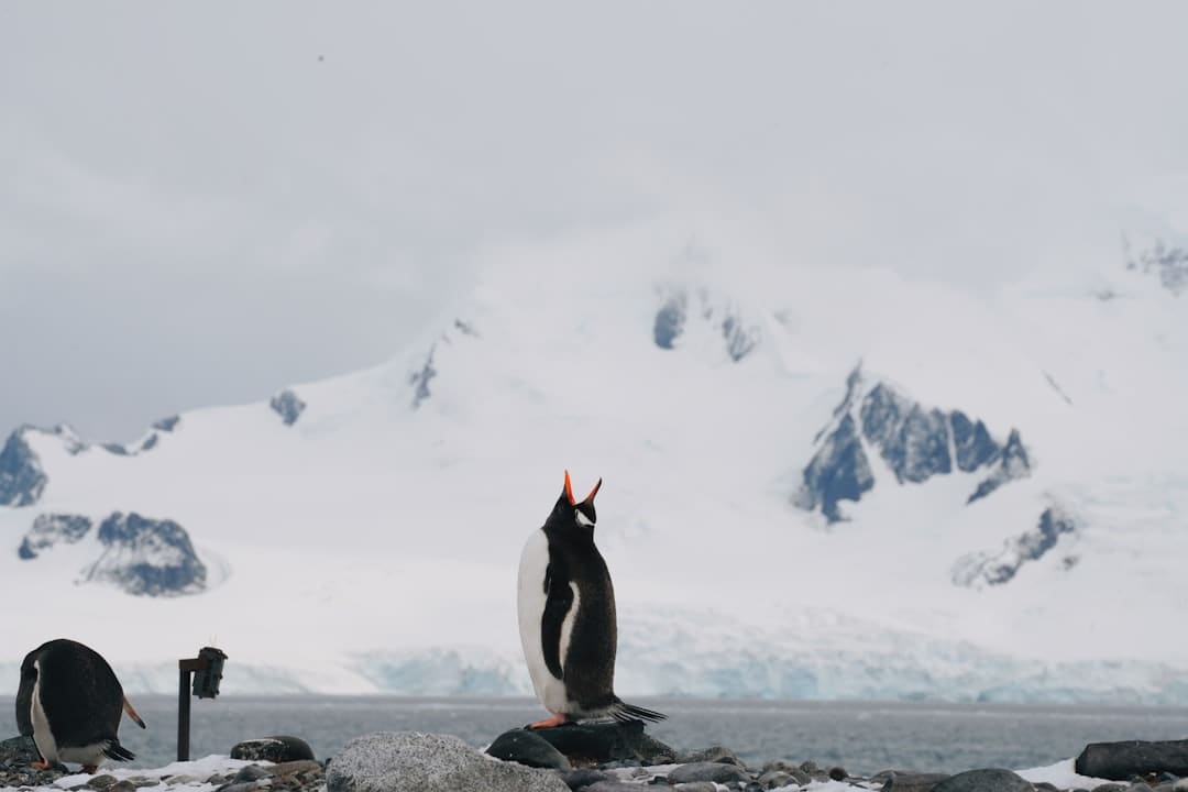 https://img1.utuku.imgcdc.com/650x0/news/20250905/c2df5b6d-74b9-4d61-b12b-7d09b44fe1e7.jpg